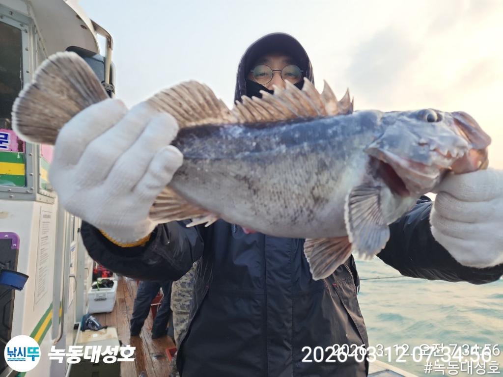 낚시뚜,우럭,녹동항,녹동대성호,낚시뚜27