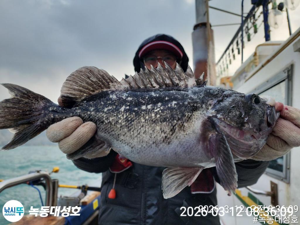 낚시뚜,우럭,녹동항,녹동대성호,낚시뚜22