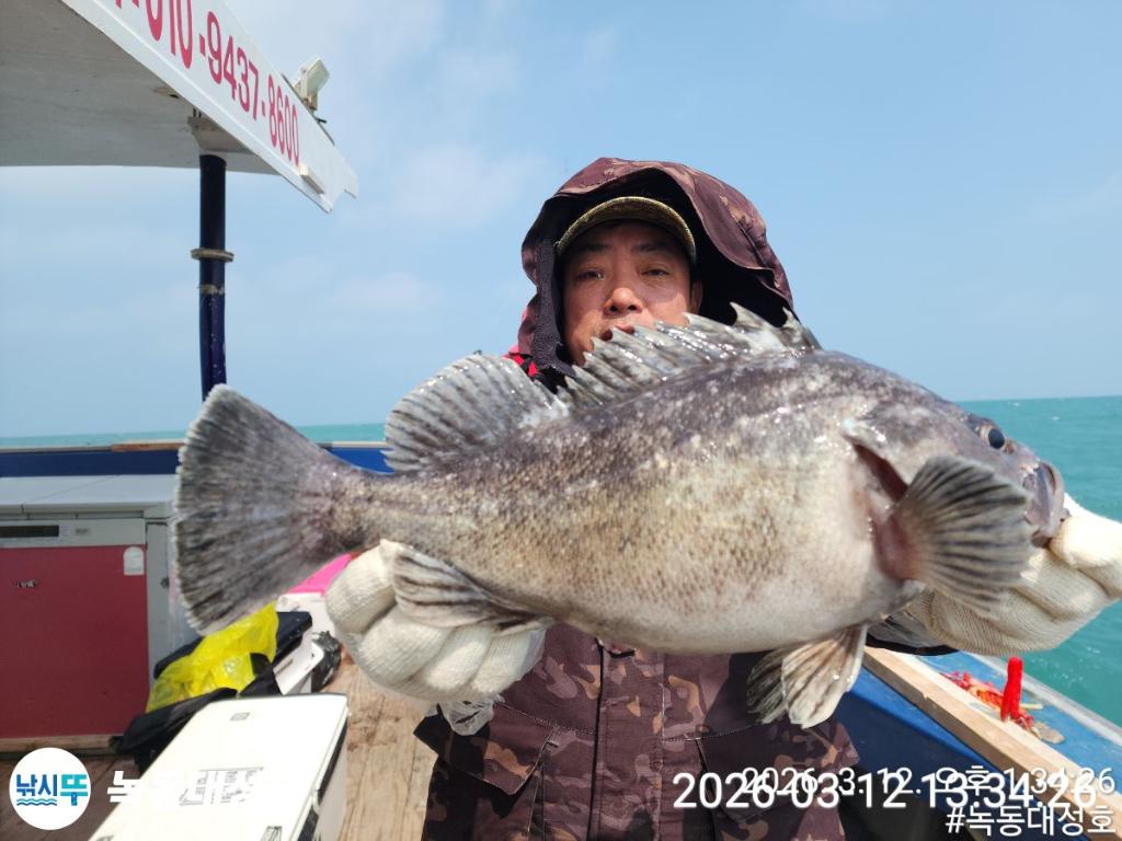 낚시뚜,우럭,녹동항,녹동대성호,낚시뚜19