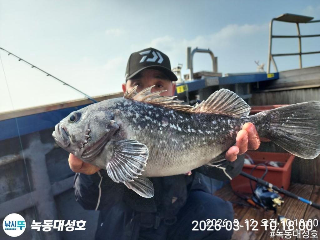 낚시뚜,우럭,녹동항,녹동대성호,낚시뚜16