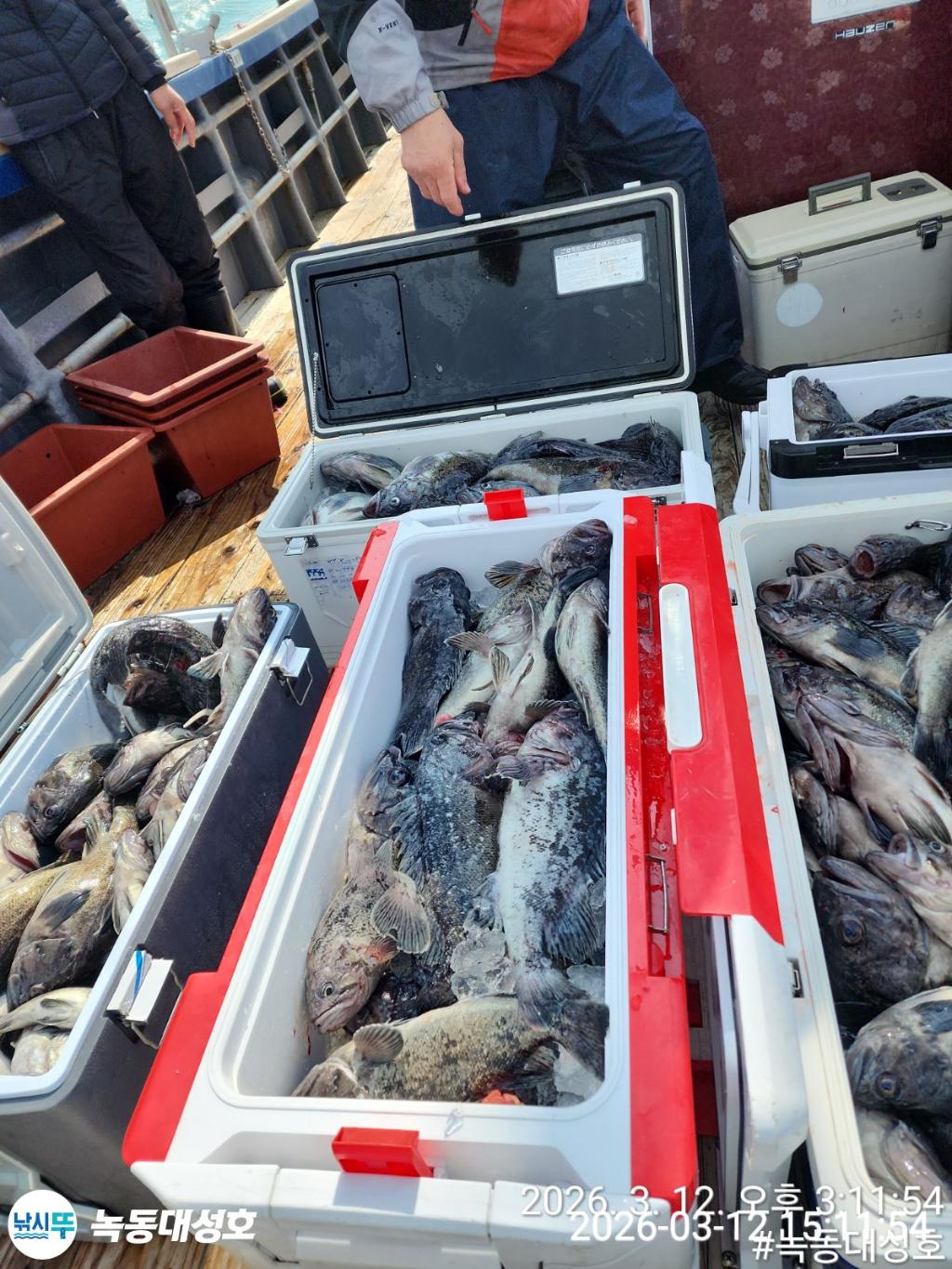 낚시뚜,우럭,녹동항,녹동대성호,낚시뚜7