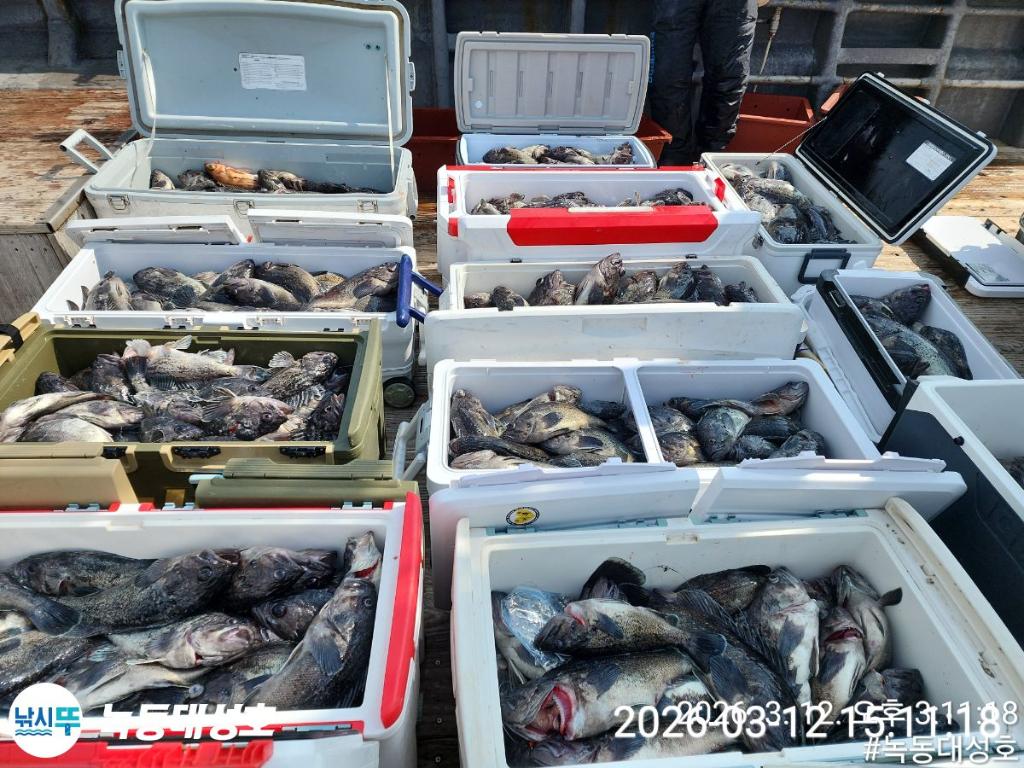 낚시뚜,우럭,녹동항,녹동대성호,낚시뚜3