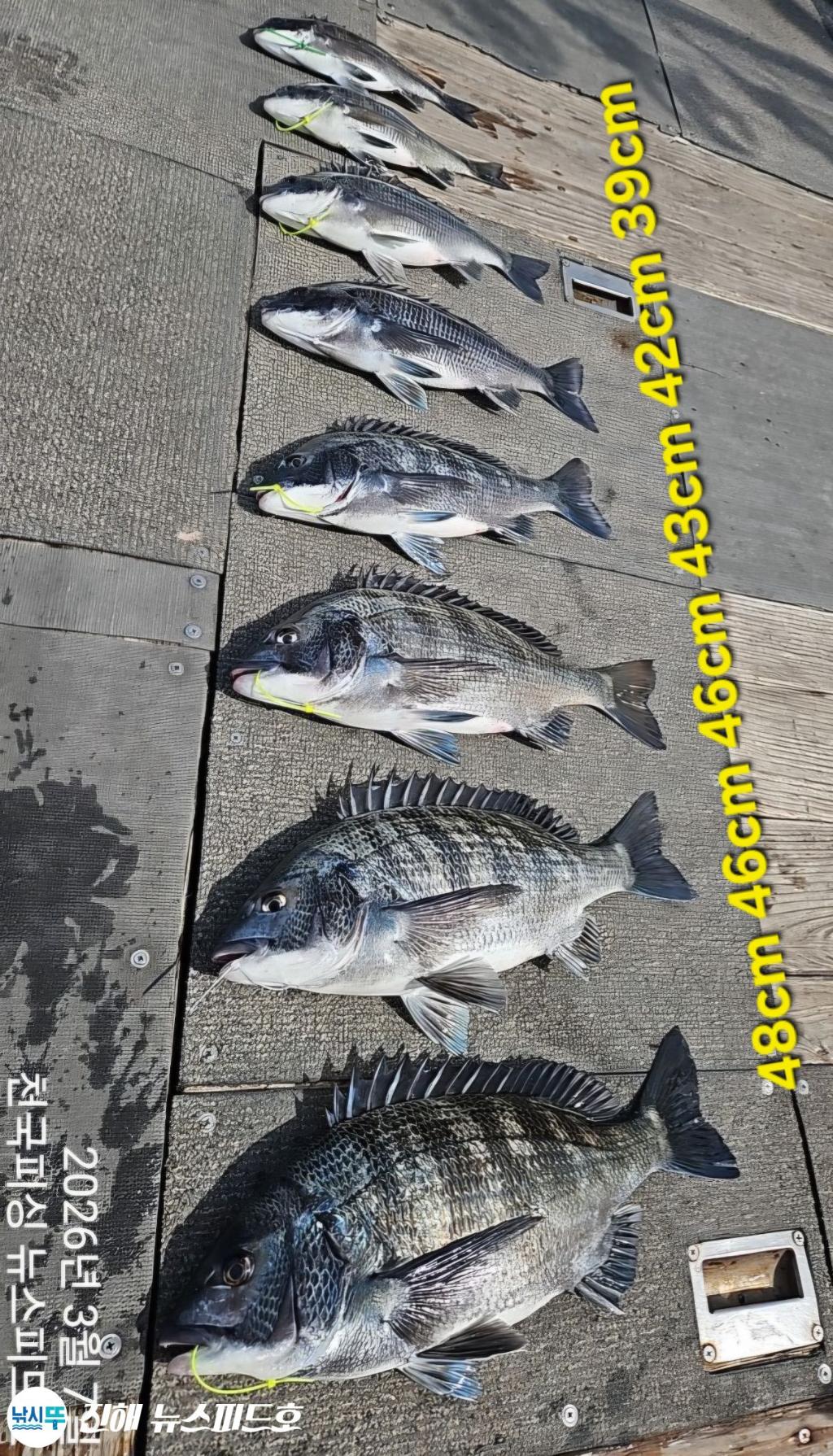 낚시뚜,,진해행암항,진해 뉴스피드호,낚시뚜9