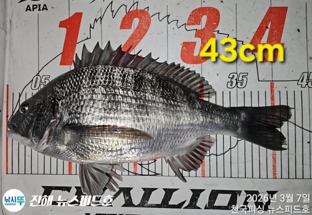 낚시뚜,,진해행암항,진해 뉴스피드호,낚시뚜5