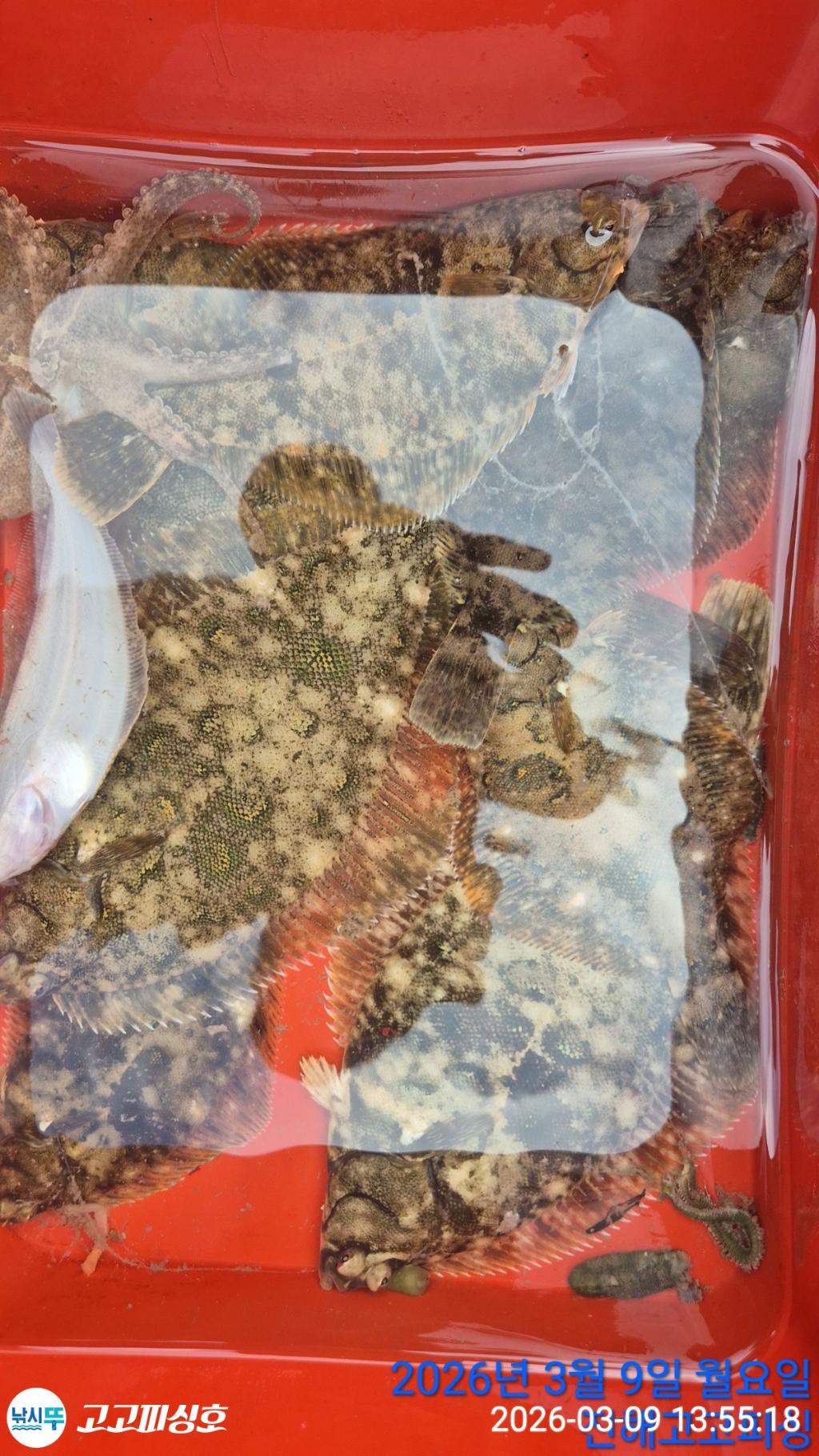 낚시뚜,,속천항(진해),고고피싱호,낚시뚜22