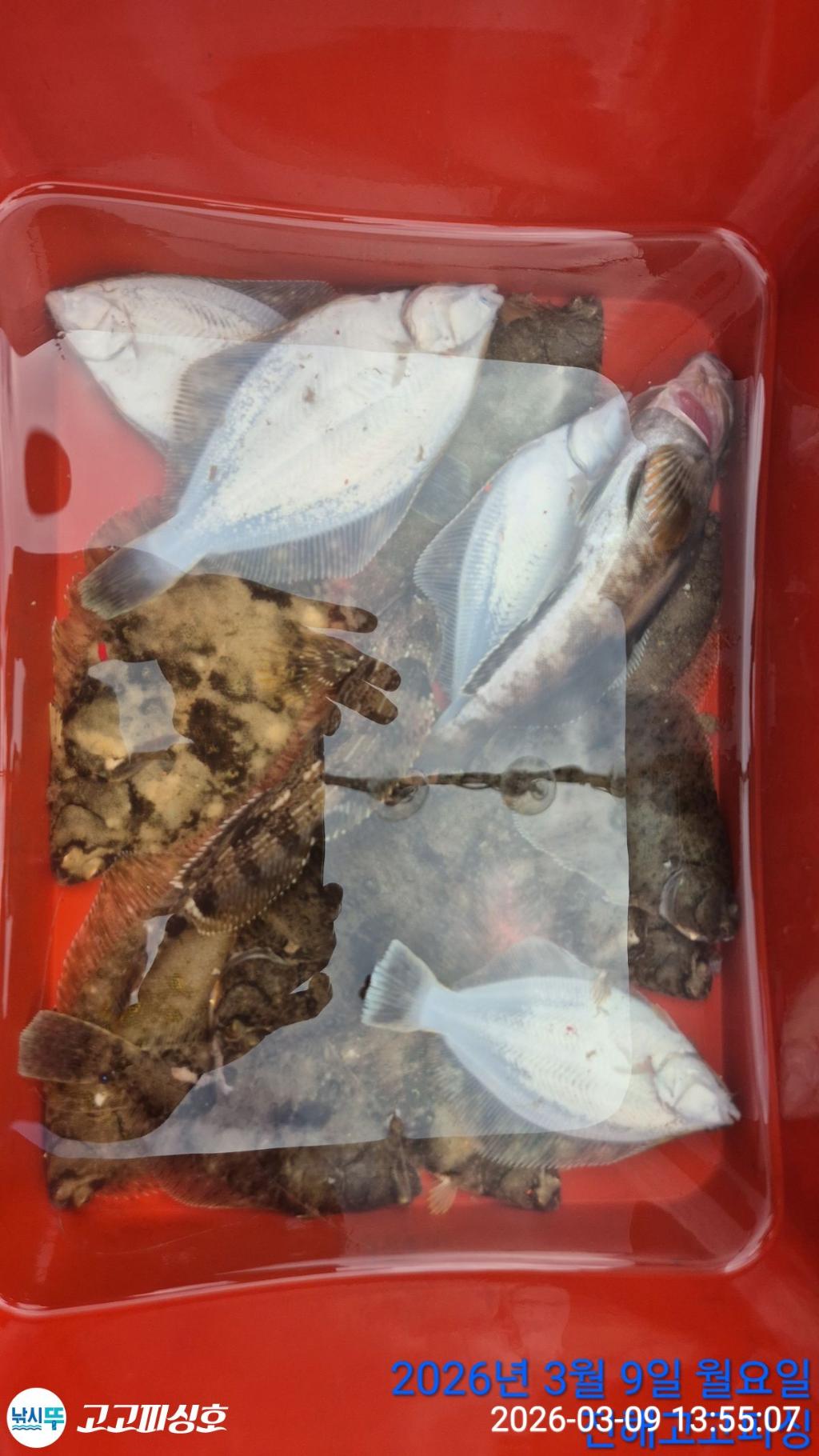 낚시뚜,,속천항(진해),고고피싱호,낚시뚜18