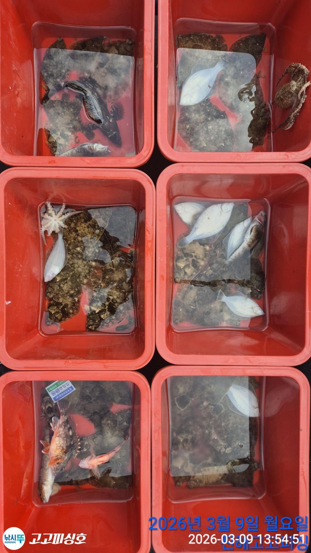 낚시뚜,,속천항(진해),고고피싱호,낚시뚜10