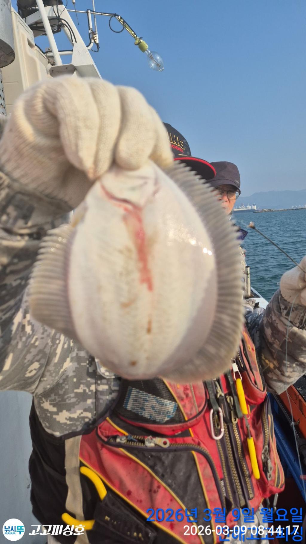 낚시뚜,,속천항(진해),고고피싱호,낚시뚜6