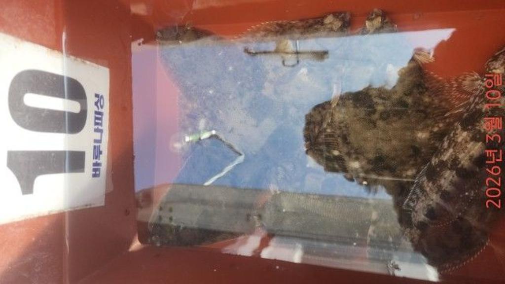 낚시뚜,도다리,속천항(진해),바루나피싱,낚시뚜7