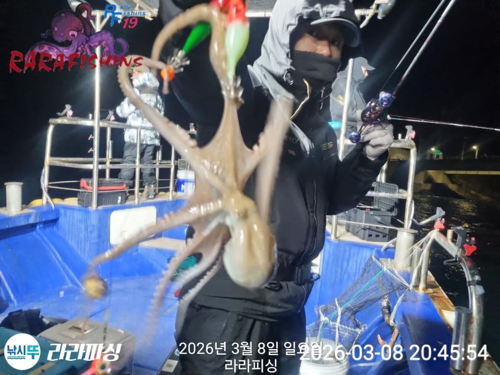 낚시뚜,낙지,돌문어,속천항(진해),라라피싱,낚시뚜21