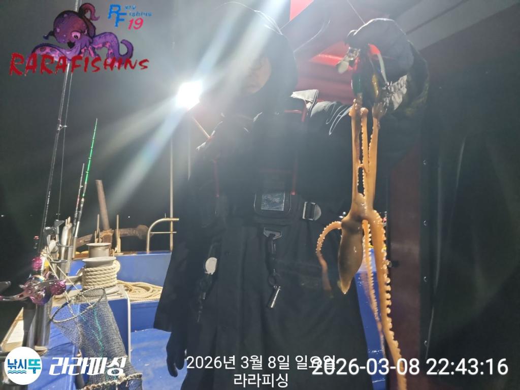 낚시뚜,낙지,돌문어,속천항(진해),라라피싱,낚시뚜14