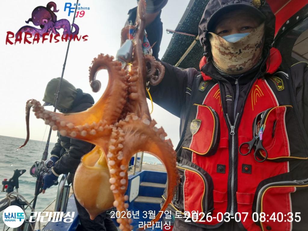낚시뚜,낙지,돌문어,속천항(진해),라라피싱,낚시뚜9