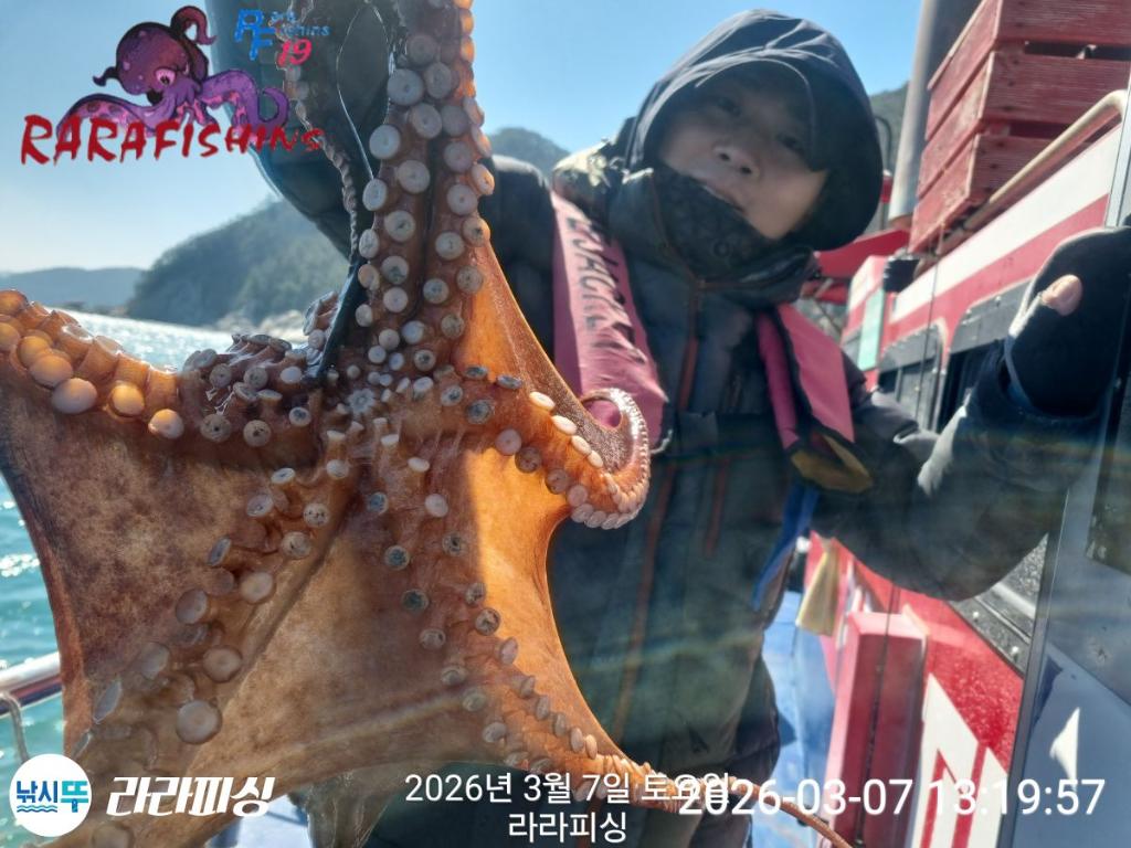 낚시뚜,낙지,돌문어,속천항(진해),라라피싱,낚시뚜8