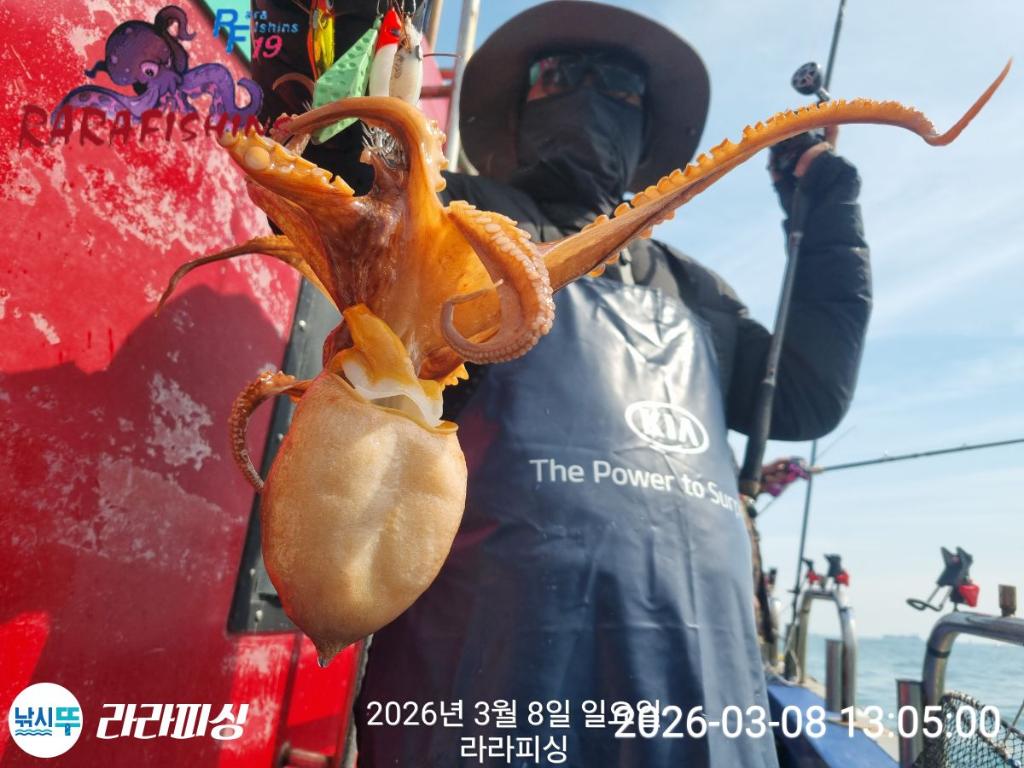 낚시뚜,낙지,돌문어,속천항(진해),라라피싱,낚시뚜5