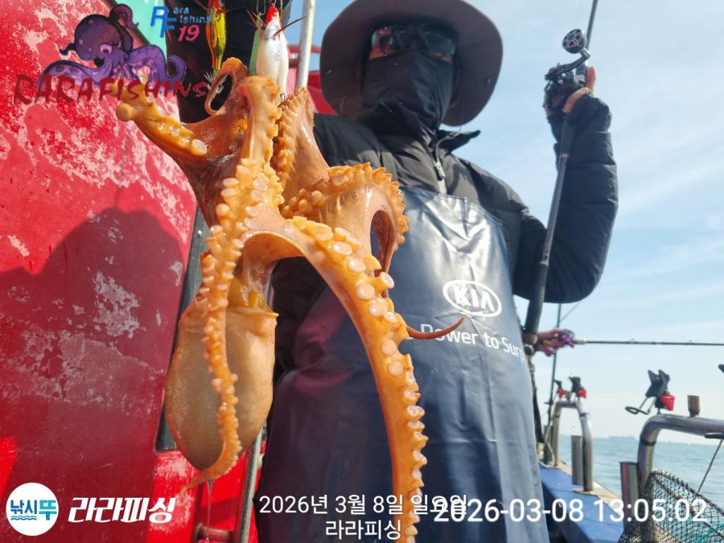 낚시뚜,낙지,돌문어,속천항(진해),라라피싱,낚시뚜3
