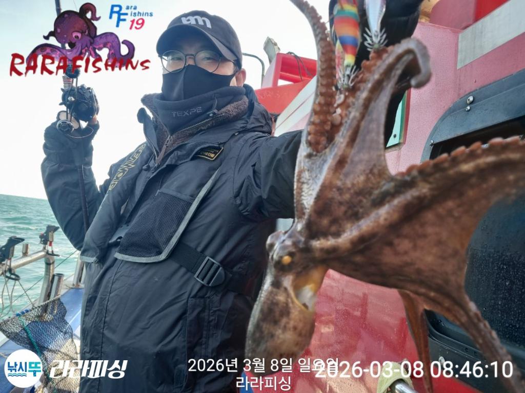 낚시뚜,낙지,돌문어,속천항(진해),라라피싱,낚시뚜2