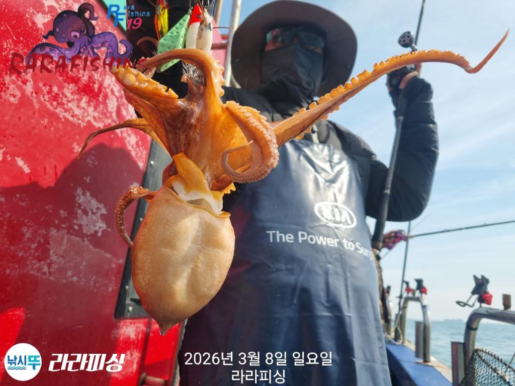 낚시뚜,낙지,돌문어,속천항(진해),라라피싱,낚시뚜24