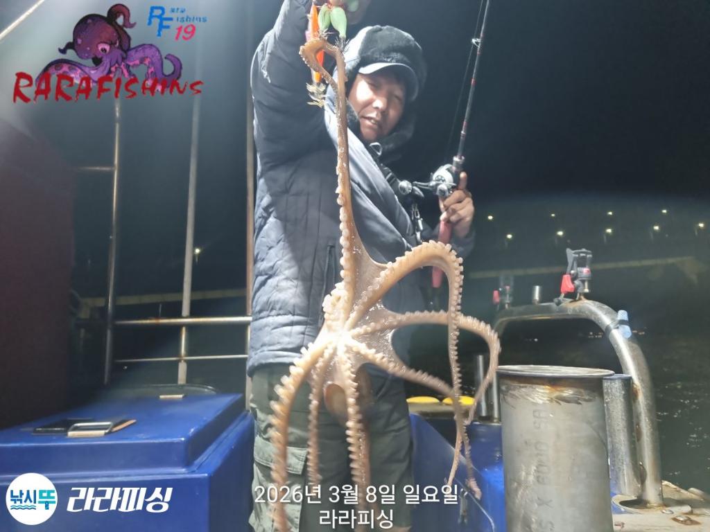 낚시뚜,낙지,돌문어,속천항(진해),라라피싱,낚시뚜8