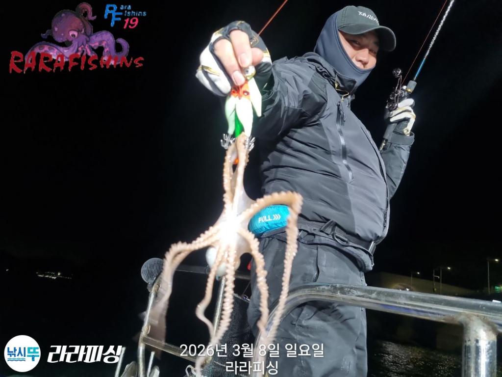 낚시뚜,낙지,돌문어,속천항(진해),라라피싱,낚시뚜6