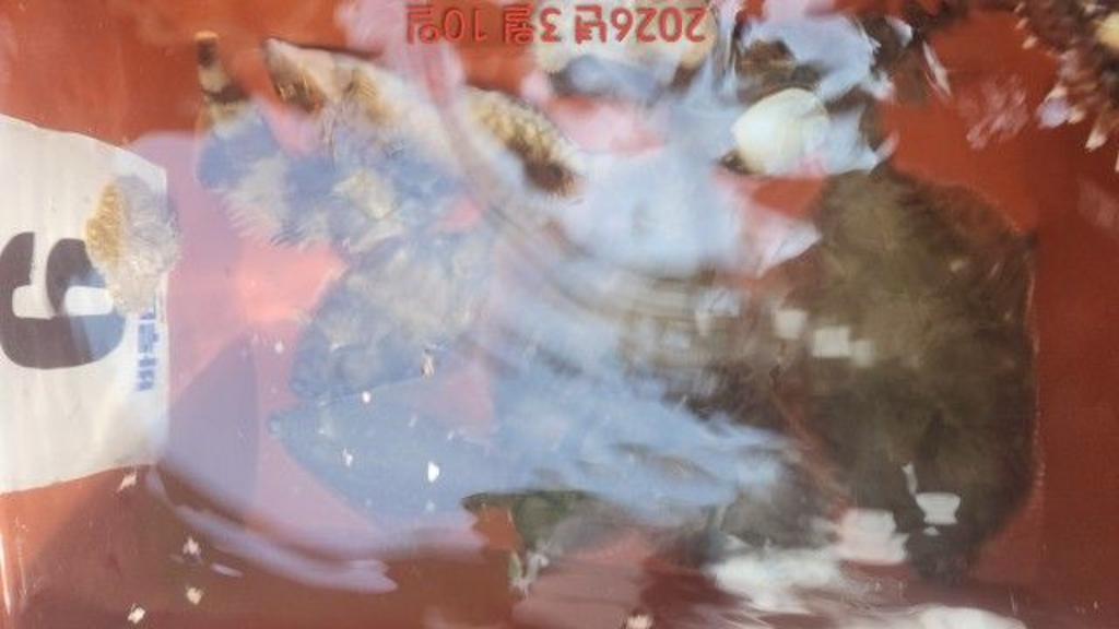 낚시뚜,도다리,속천항(진해),바루나피싱,낚시뚜3