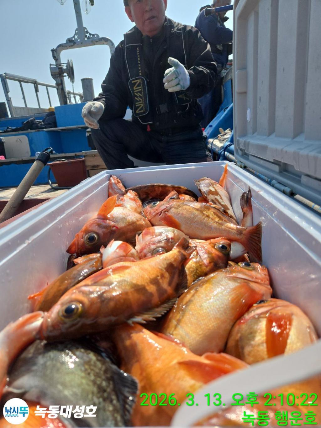 낚시뚜,우럭,열기,녹동항,녹동대성호,낚시뚜65