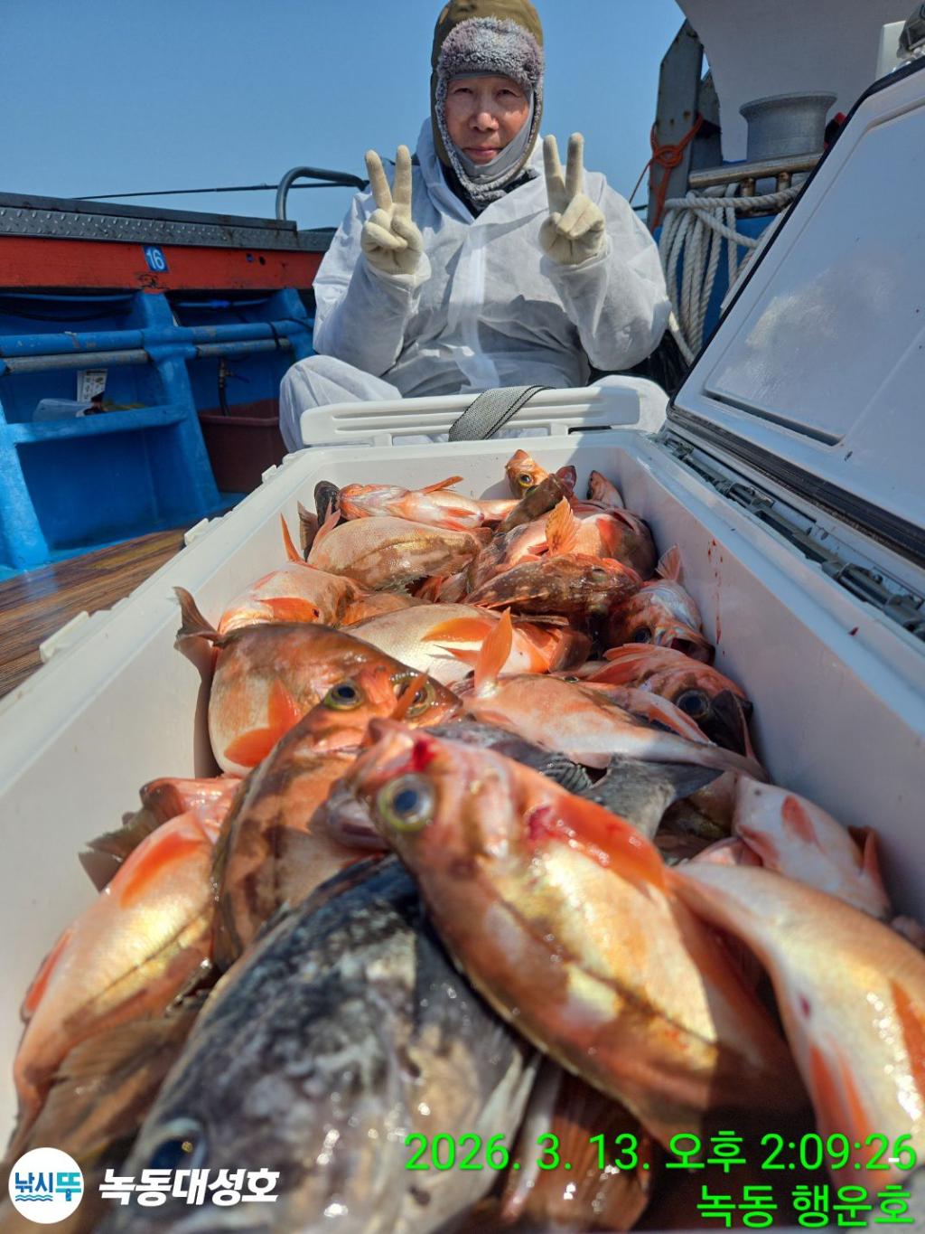 낚시뚜,우럭,열기,녹동항,녹동대성호,낚시뚜64