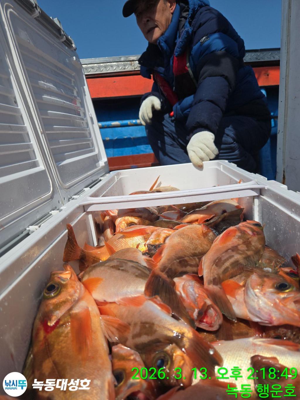 낚시뚜,우럭,열기,녹동항,녹동대성호,낚시뚜61