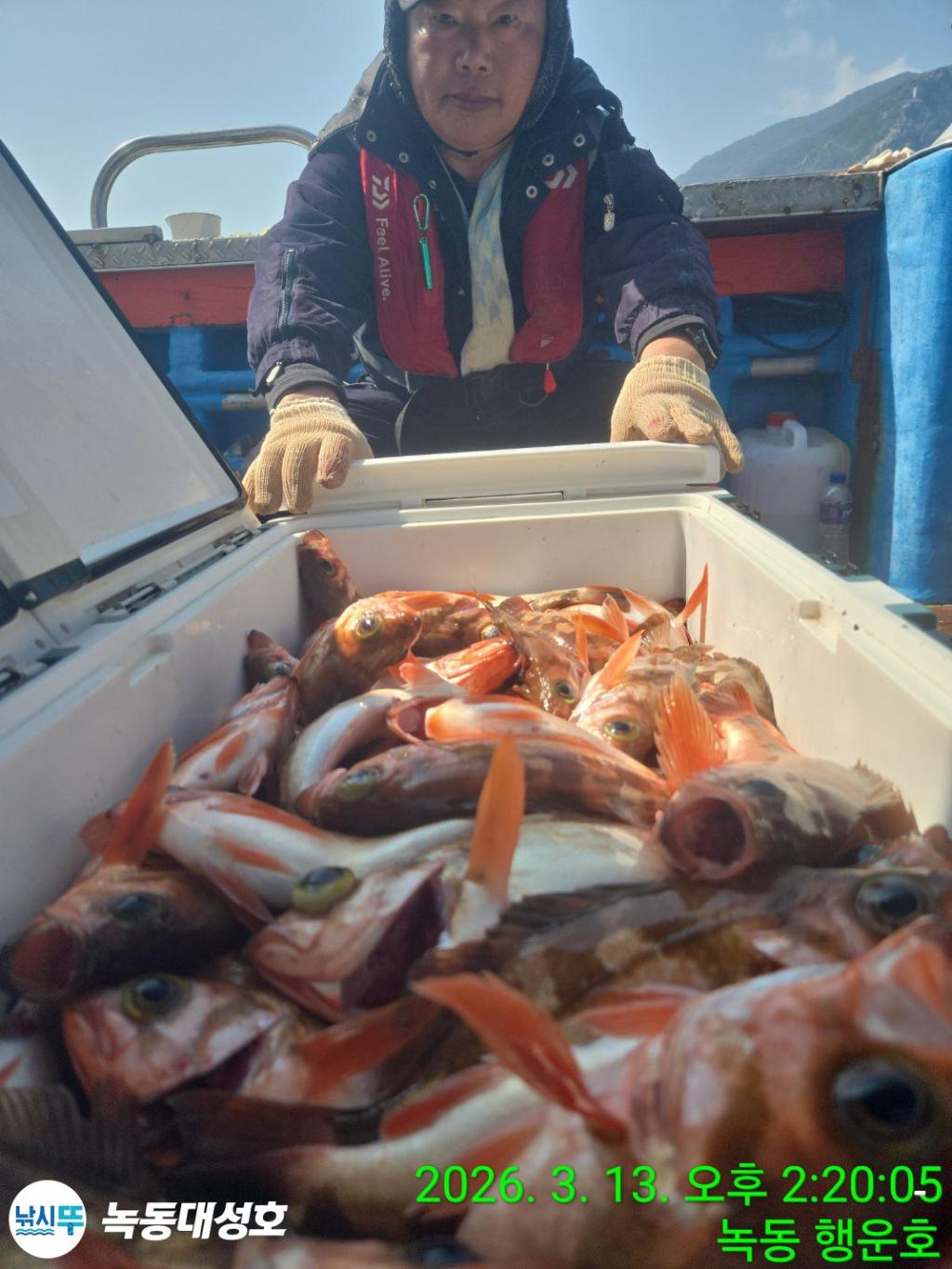 낚시뚜,우럭,열기,녹동항,녹동대성호,낚시뚜58