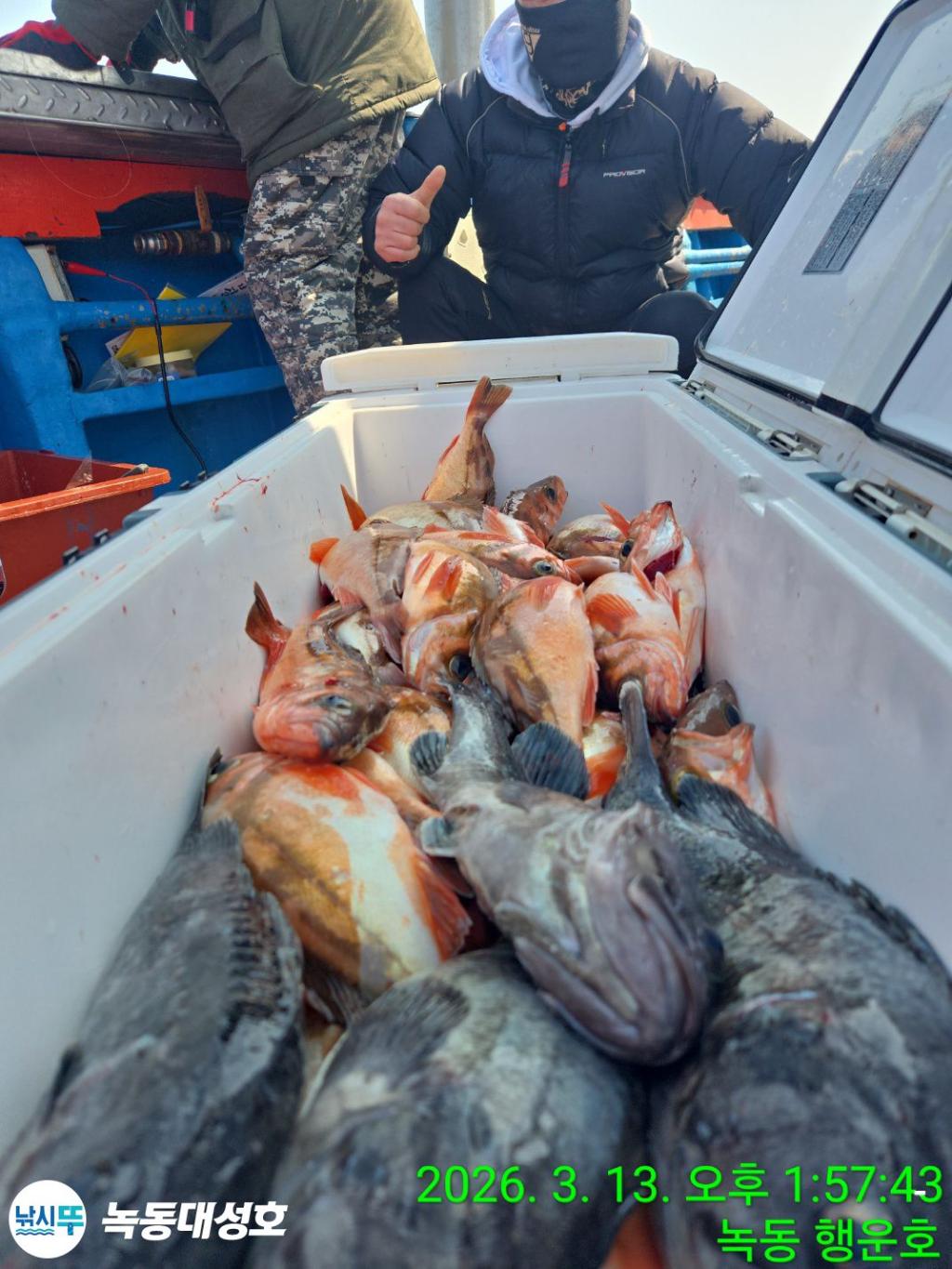 낚시뚜,우럭,열기,녹동항,녹동대성호,낚시뚜56