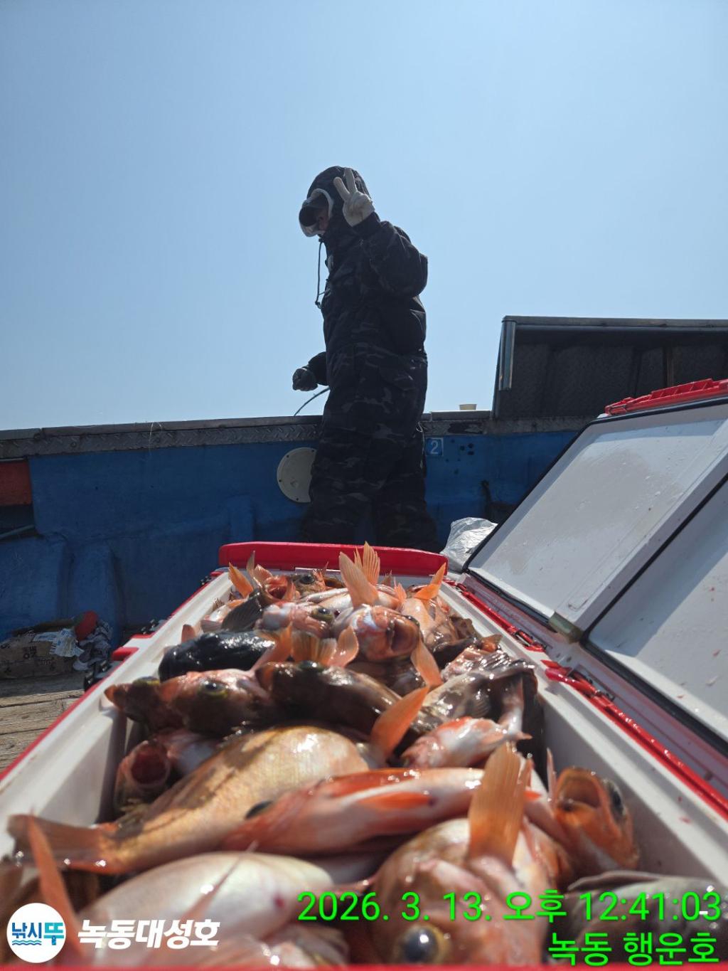 낚시뚜,우럭,열기,녹동항,녹동대성호,낚시뚜53