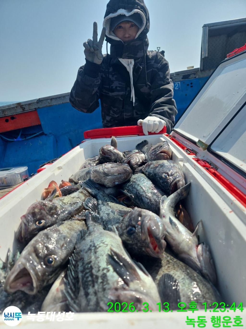 낚시뚜,우럭,열기,녹동항,녹동대성호,낚시뚜51