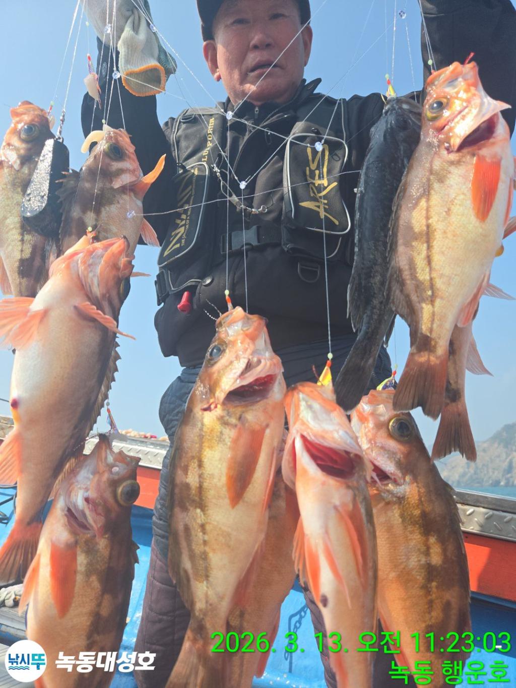 낚시뚜,우럭,열기,녹동항,녹동대성호,낚시뚜43