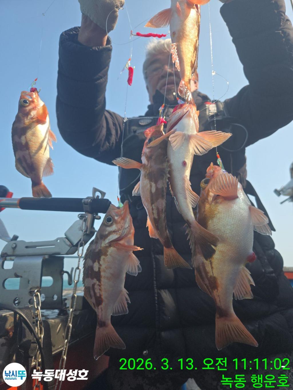 낚시뚜,우럭,열기,녹동항,녹동대성호,낚시뚜41