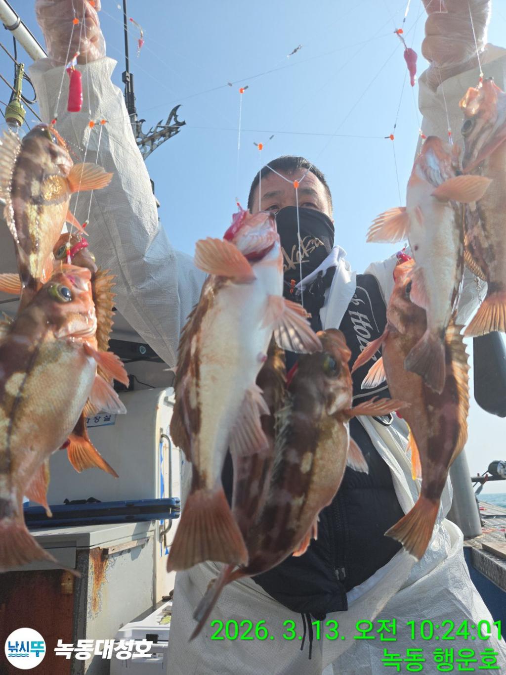 낚시뚜,우럭,열기,녹동항,녹동대성호,낚시뚜40