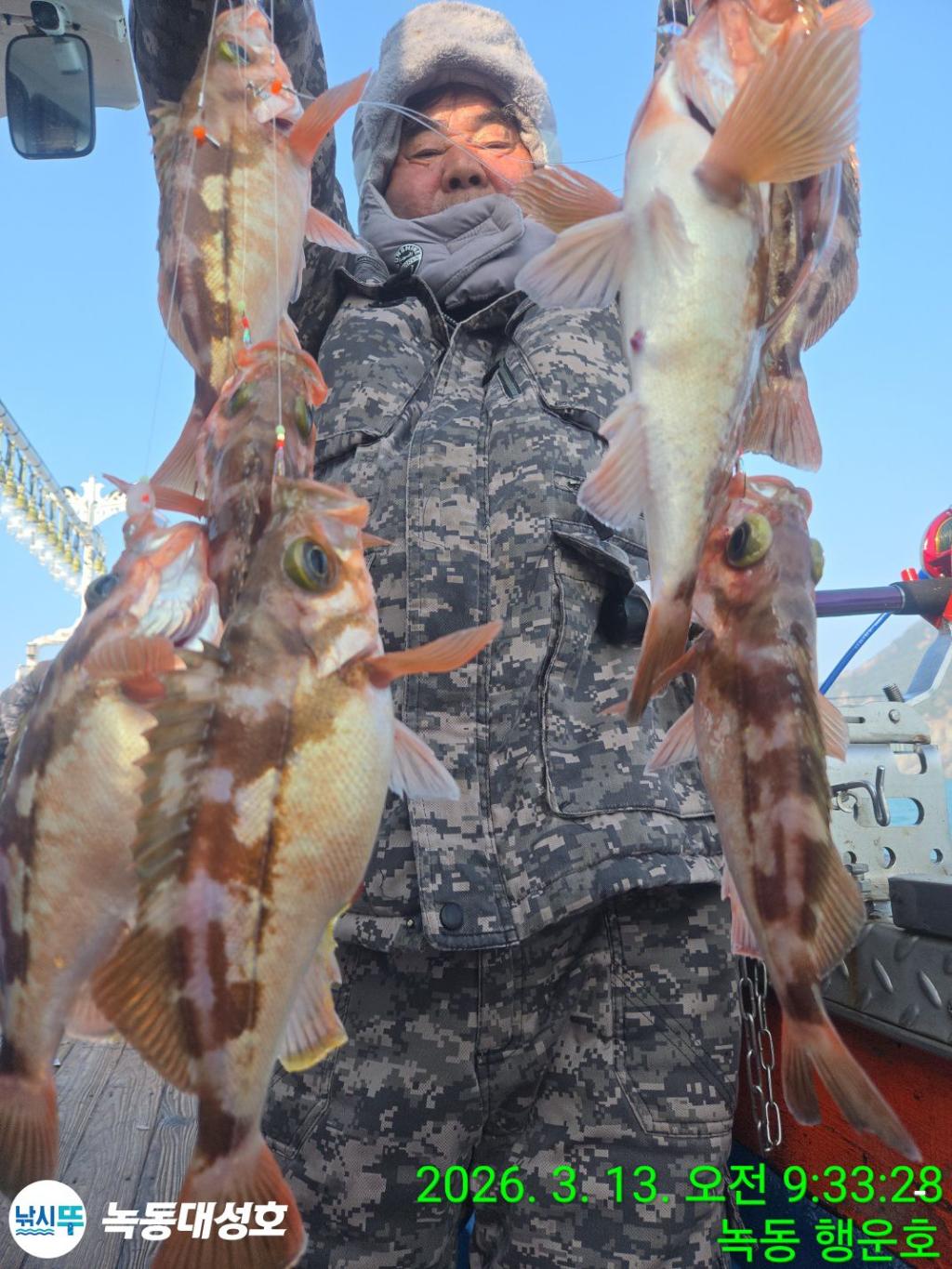 낚시뚜,우럭,열기,녹동항,녹동대성호,낚시뚜39