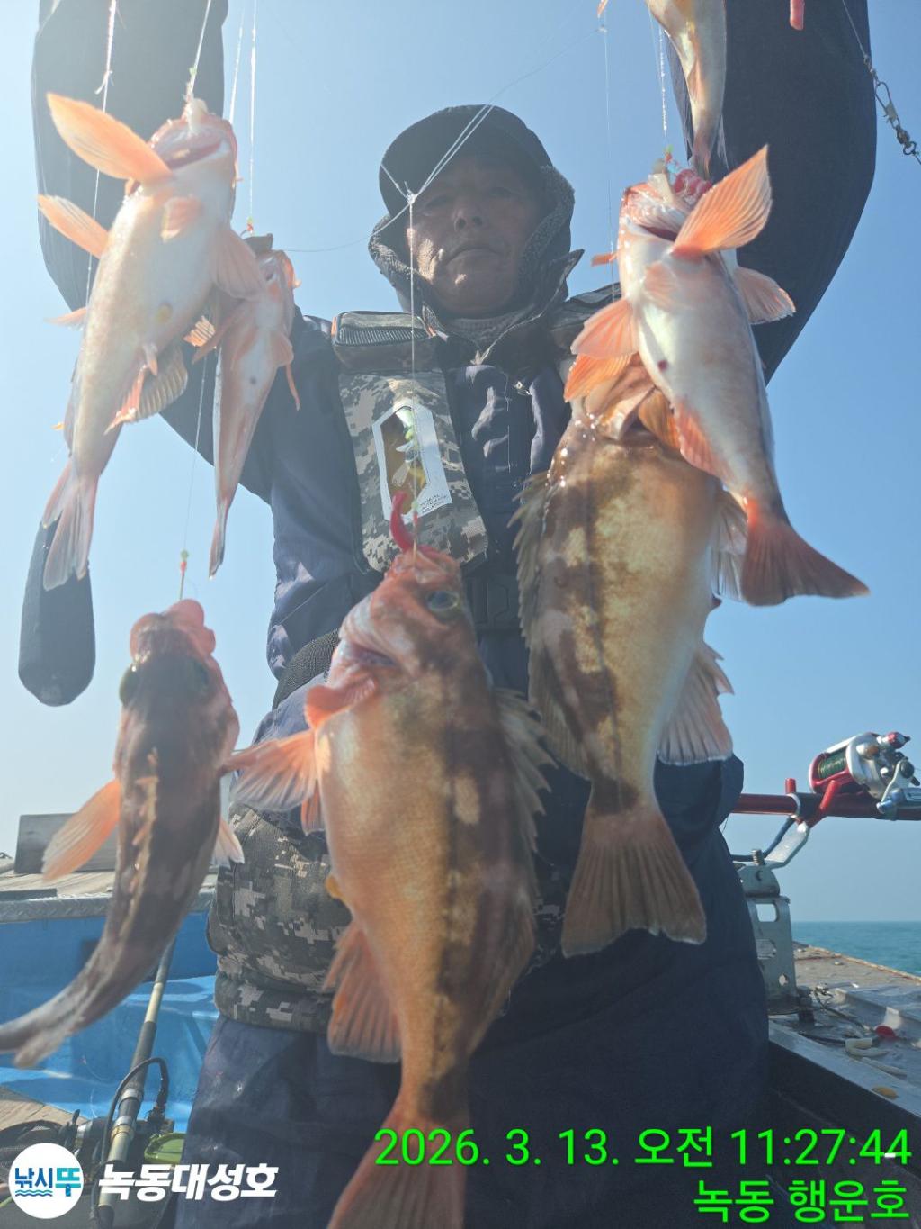 낚시뚜,우럭,열기,녹동항,녹동대성호,낚시뚜37