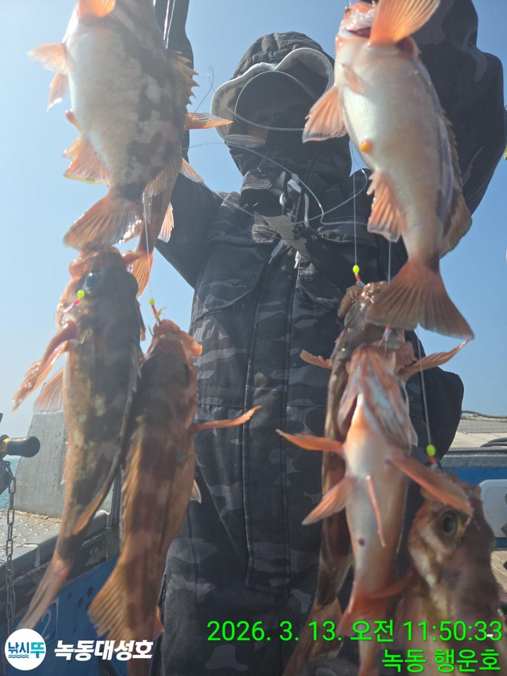 낚시뚜,우럭,열기,녹동항,녹동대성호,낚시뚜34