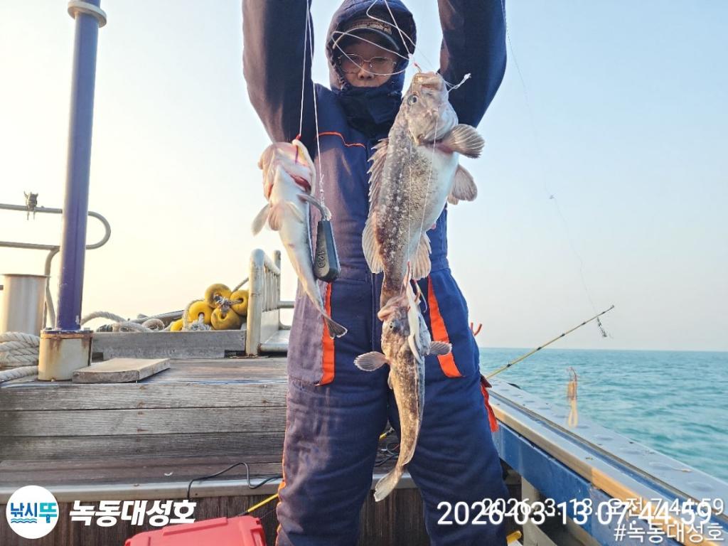 낚시뚜,우럭,열기,녹동항,녹동대성호,낚시뚜32
