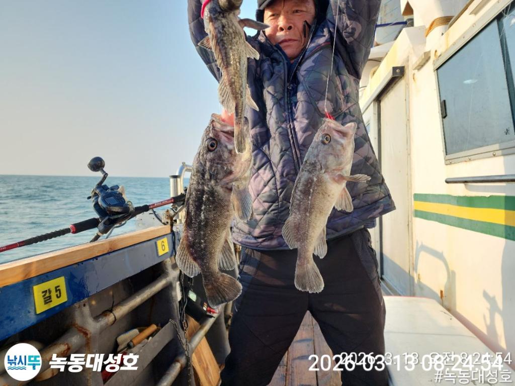 낚시뚜,우럭,열기,녹동항,녹동대성호,낚시뚜31
