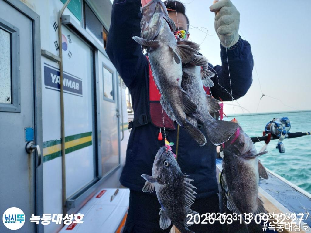 낚시뚜,우럭,열기,녹동항,녹동대성호,낚시뚜26