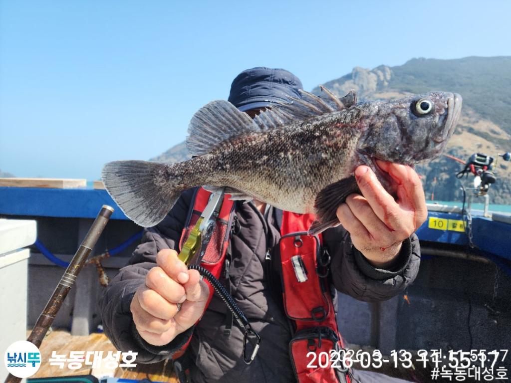 낚시뚜,우럭,열기,녹동항,녹동대성호,낚시뚜19