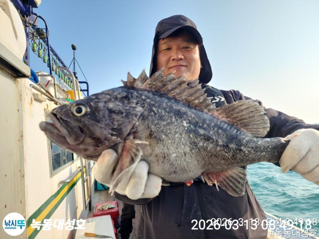 낚시뚜,우럭,열기,녹동항,녹동대성호,낚시뚜18