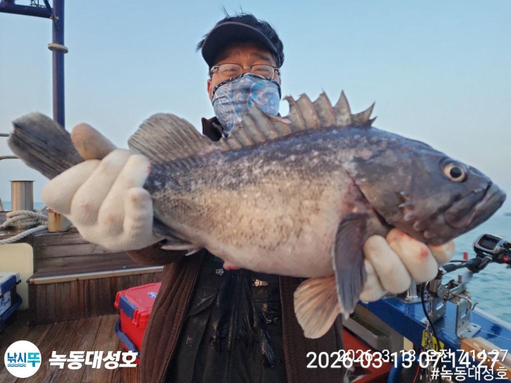 낚시뚜,우럭,열기,녹동항,녹동대성호,낚시뚜17