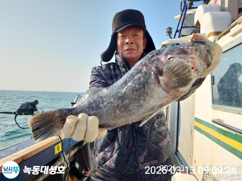 낚시뚜,우럭,열기,녹동항,녹동대성호,낚시뚜16