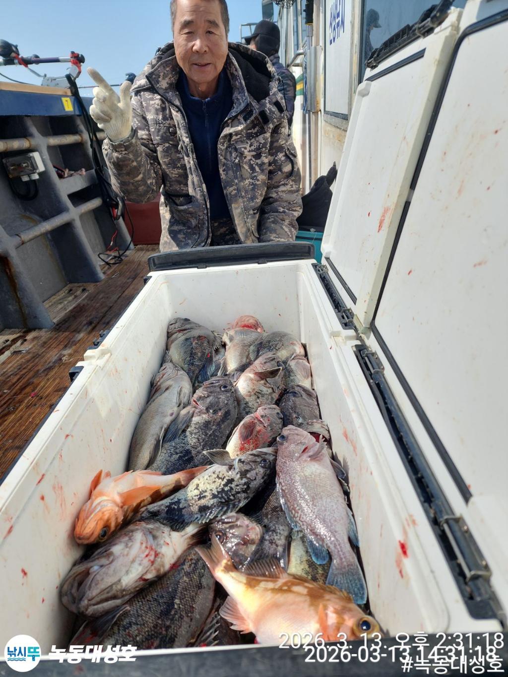 낚시뚜,우럭,열기,녹동항,녹동대성호,낚시뚜12