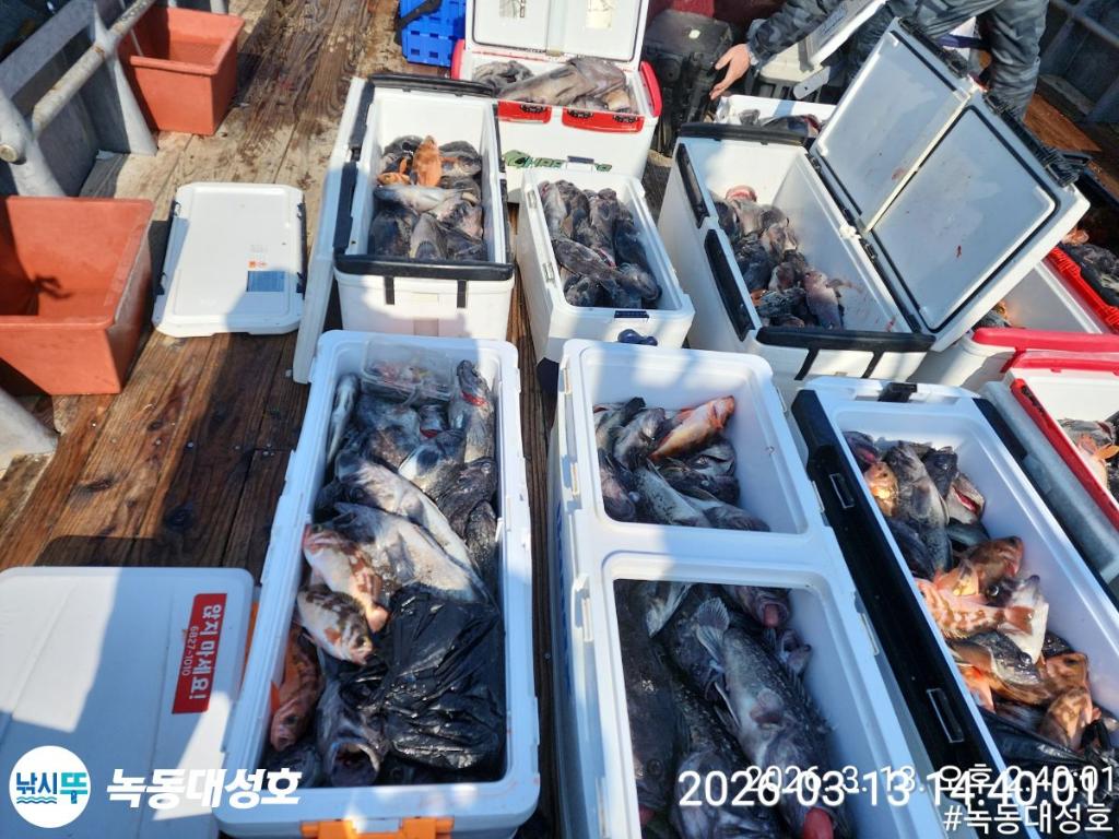 낚시뚜,우럭,열기,녹동항,녹동대성호,낚시뚜8