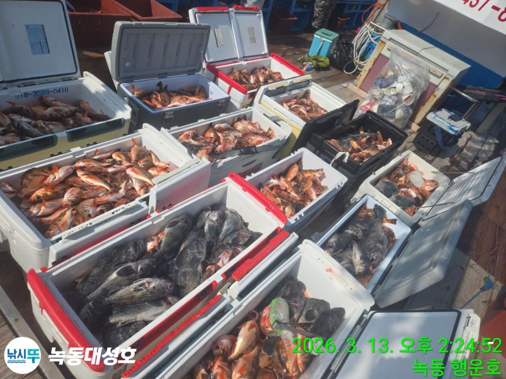 낚시뚜,우럭,열기,녹동항,녹동대성호,낚시뚜1