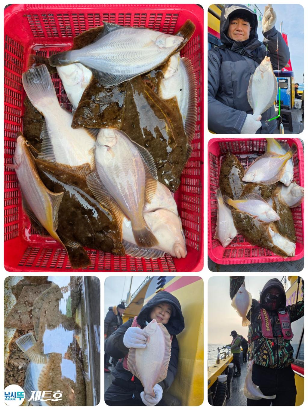 낚시뚜,도다리,가자미,영일만항,포항 제트호,낚시뚜4