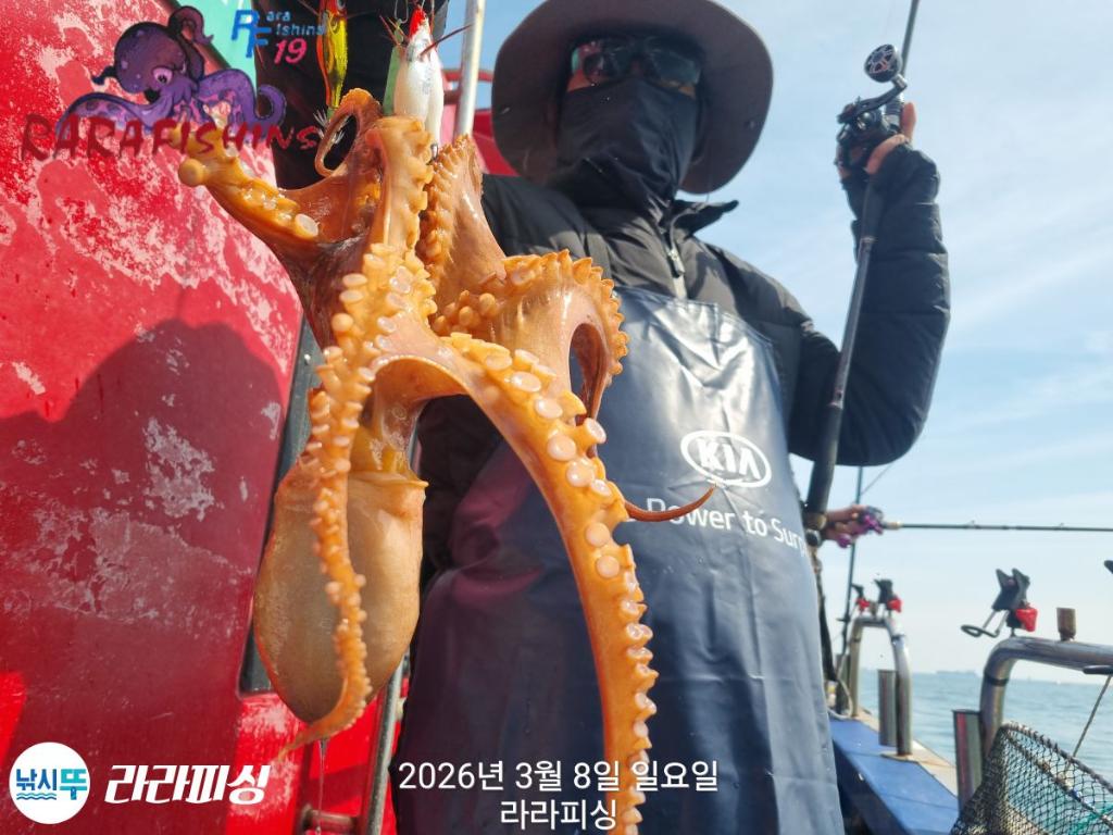 낚시뚜,낙지,돌문어,속천항(진해),라라피싱,낚시뚜7