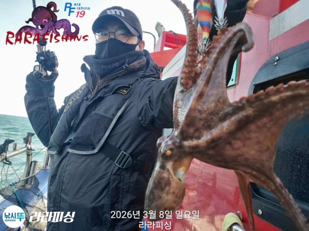 낚시뚜,낙지,돌문어,속천항(진해),라라피싱,낚시뚜6